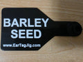Barley Seed