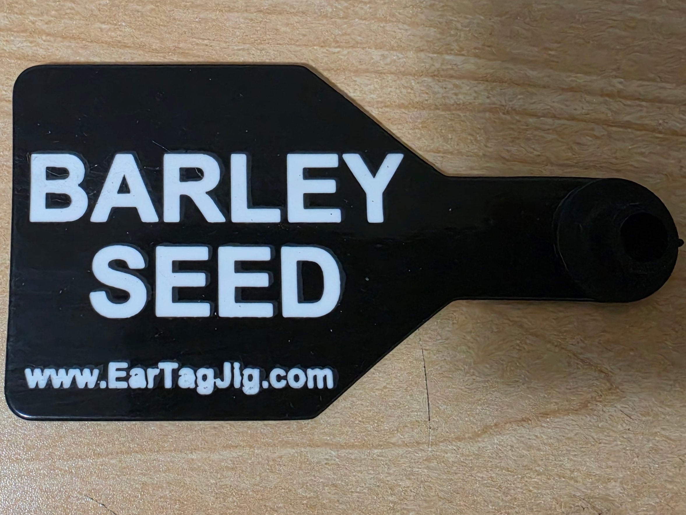 Barley Seed