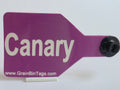 Canary