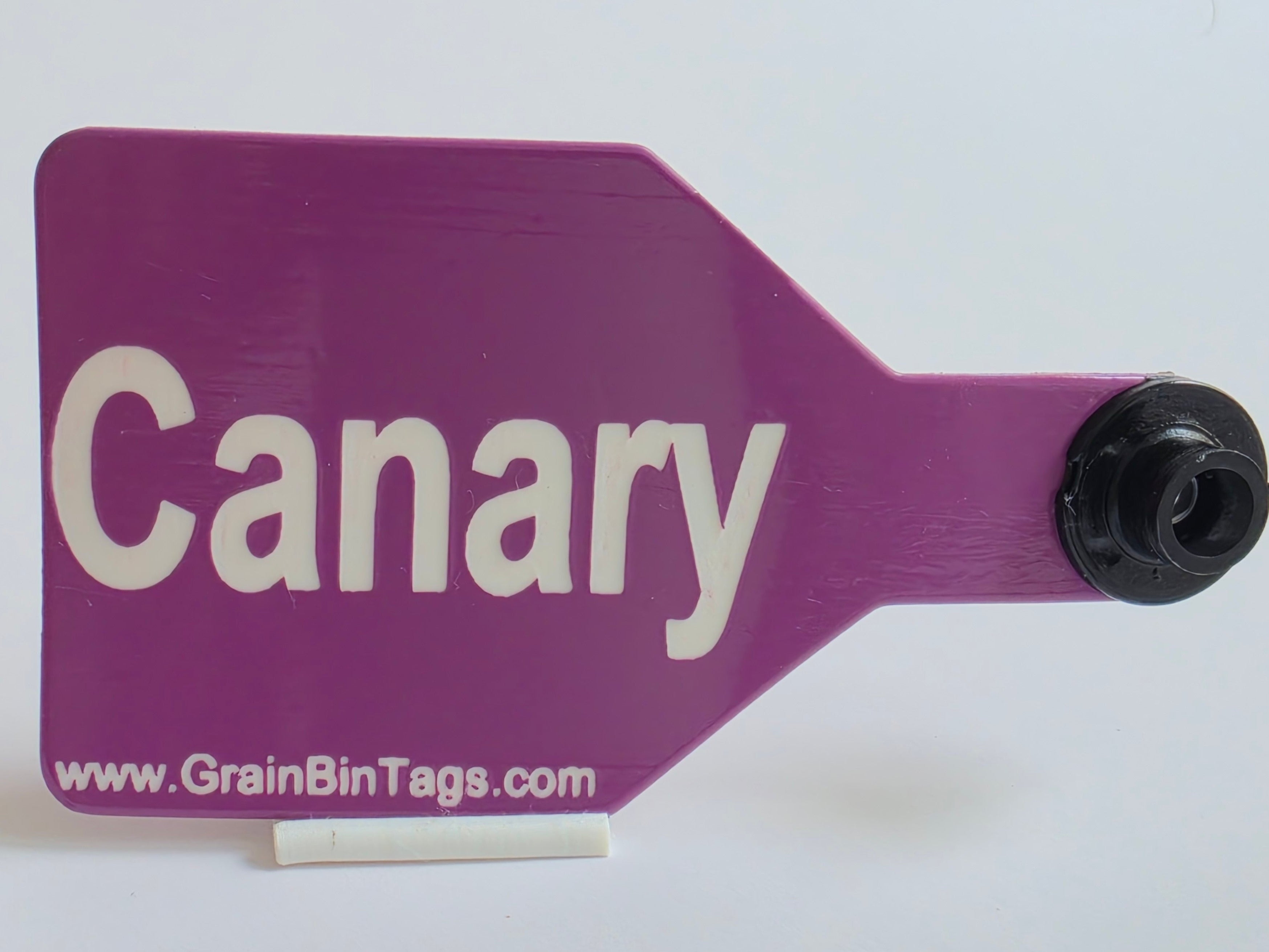 Canary