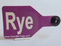 Rye