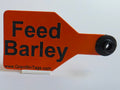 Feed Barley