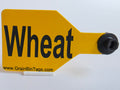 Wheat