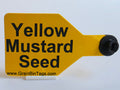 Yellow Mustard Seed